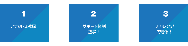 フラットな社風、スキルに応じた活躍の場がある、チャレンジできる！